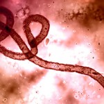 Ebola Virus