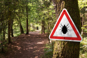 Tick Trouble Is SURGING (Here’s How to Stay Safe)