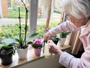 [Shocking] Rare Orchid BEATS Popular Cancer Drug?!