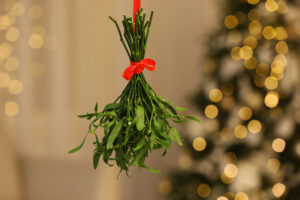 A Holiday Miracle? This ‘Holy Branch’ Extends Cancer Patients’ Lives by 40%