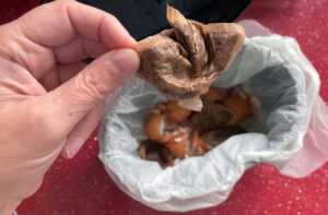 [Breakthrough] “Tea Trash” Slashes Triglycerides 75%