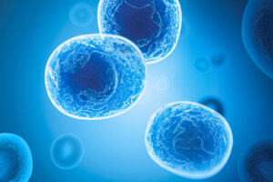 The “Zombie Cells” That Could Destroy Your Liver (Unless You Do This)