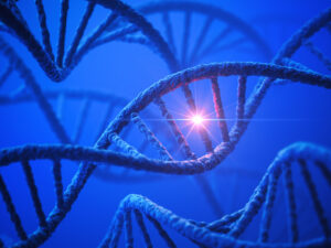 Discovered! The Mongolian “Biohack” for Aging in REVERSE