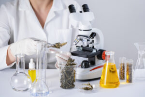 Boost Cancer-Killing Defenses 570% With This Rediscovered Herb
