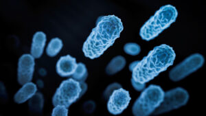 Constipation and Stress—Solved in One Capsule?