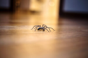 Weird “Venom” STOPS Heart Attack Damage (But There’s a Catch…)