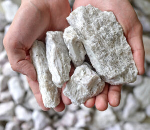 [BREAKING] Overlooked Mineral REVERSES Alzheimer’s