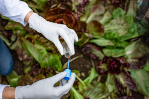 [Alert] These “Healthy” Vegetables Are LOADED With Toxins