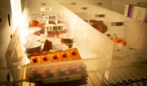 [Urgent] Cancer Drugs That Give You…Cancer?!