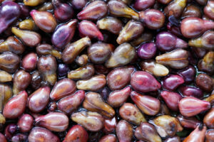 Strange “Wine Trash” Slashes High Blood Pressure