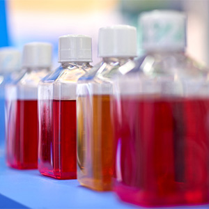 The End of Fake Food Colors?