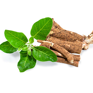 This Ancient Herb Just Got a Major Brain-Boosting Upgrade